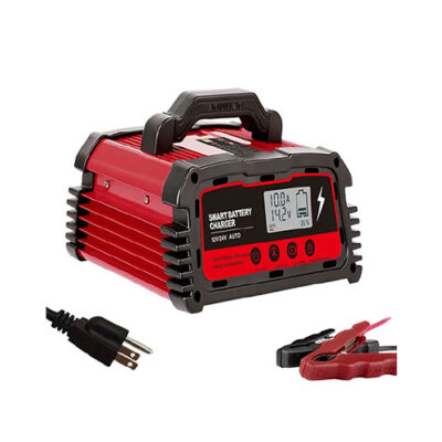 100A 200A 250A Smart Battery Charger For 12V 24V AGM GEL WET STD Lead Acid Batteries